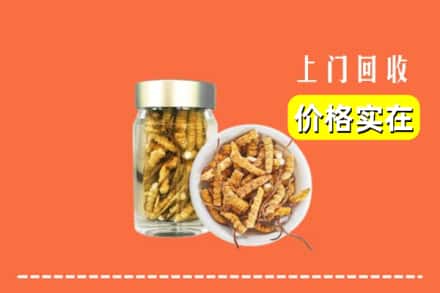 收购资讯:怀化市中方回收散虫草